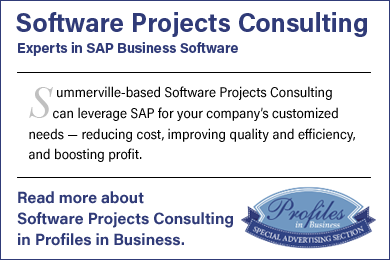 Software Projects Consulting: Experts in SAP Business Software